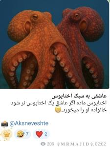 عاشقی به سبک اختاپوس💜💜