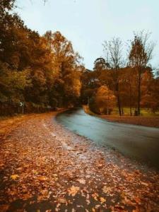 ای عجیب قشنگ 
با نگاهی پر از لفظ مرطوب ‌..