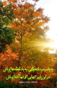 شبتون بخیر 