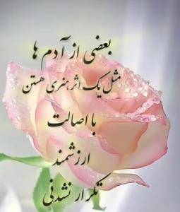 👍👍🌹🌹❤️❤️