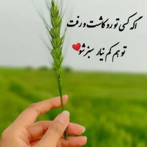 سبز شو ... 🌱