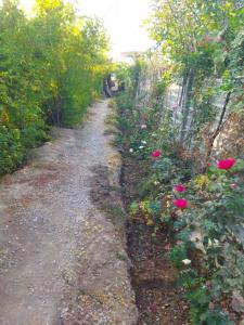 اینم ورودی خونه باغ امیر 