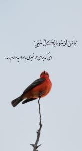 ای که برای هر خیری به او امیدوارم...