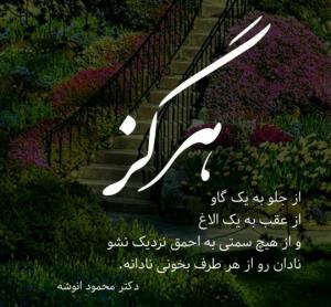 🍁نادان همیشه نادانه🍁
