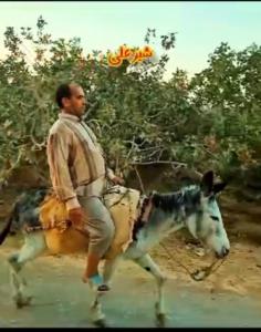 من اگرنیکم اگربد،،،توبرو دیستو بزن دو دیسزن دواکانتی..🤬😄👓