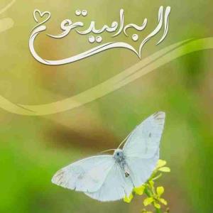الهــــی به امید تو 