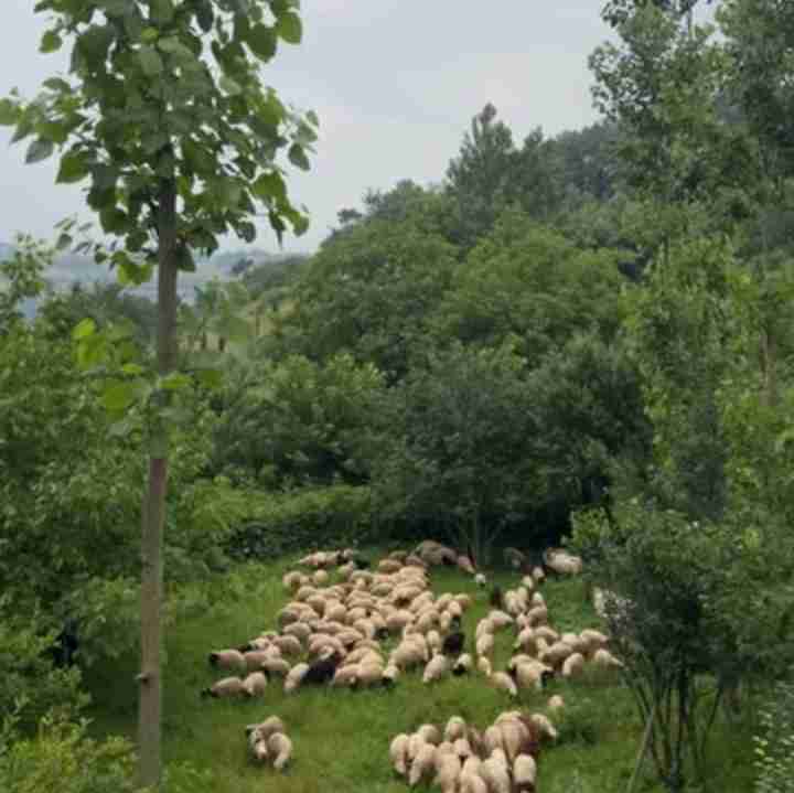 یه روز زیبا 