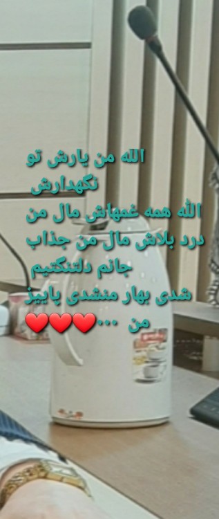 نیش های چند مگس هرگز اسب چابک را از تاختن باز نمیدارد ۰۰۰❤❤❤