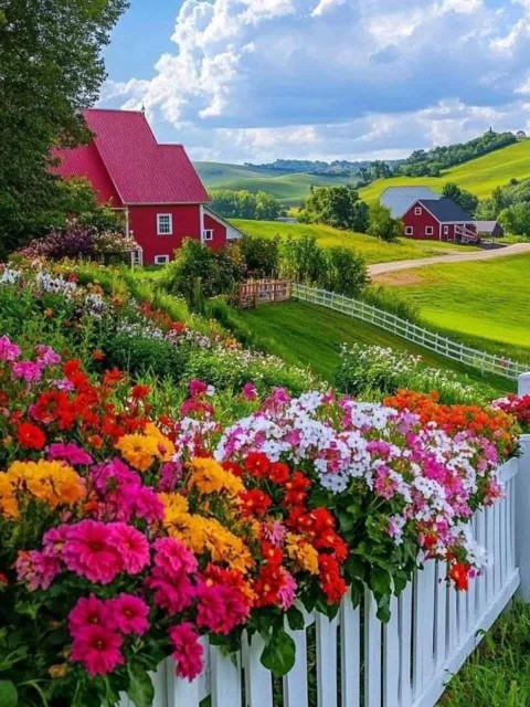 🌹امــــــــروزتــ💗ــون

🌿بہ قشنگــــــــی آسمان پرنــــــ