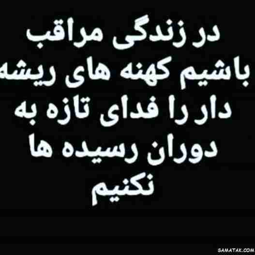 بله صحیح 