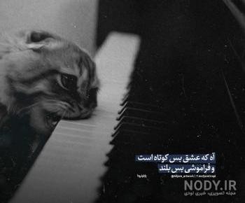 حرف دل👌