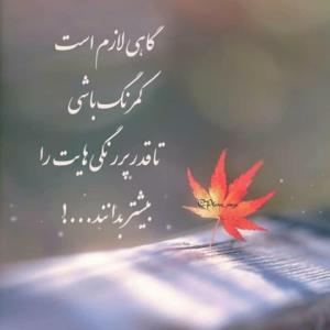 گاهی... 