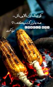 خدایا بابت همه چی شکرت🧡🙏♡