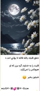 شبتون بخیر دوستان گلم شبتون ستاره بارون 🌙🌟⭐️✨️💫
