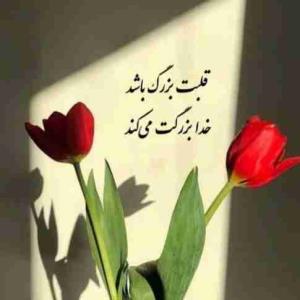 متن ناب❤️