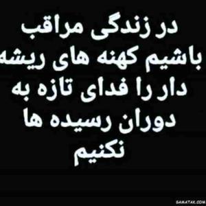 بله صحیح 