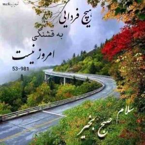 هیچ فــــــــردایی به قشنگی امــــــــروز نیست...
سلام صبحتــــــــون بخیر ❤️🌱
امروز چهارشنبه ۲۳ مهر ماه ۱۴۰۴
انشاالله که روزتون پراز خیروبرکت باشه 
●☆༊࿐𖡹💞𖡹࿐༊☆●