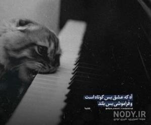 حرف دل👌