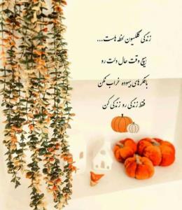  زندگی  رو  زندگی  کن  🍃🍂🍂🍃