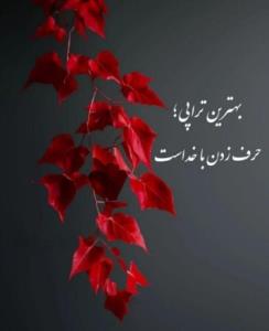 خدایا شکرت ❤️ کپشن لطفاً 👇
