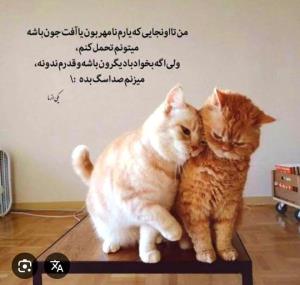 جون ننه ت بچاپ🤭🤭😂