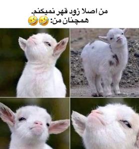 دقیقا من 😂😂😂😂