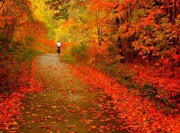 جلوهای شگفت انگیز خالق هستی 