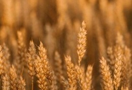 سخترین اتفاق پاییز !!!