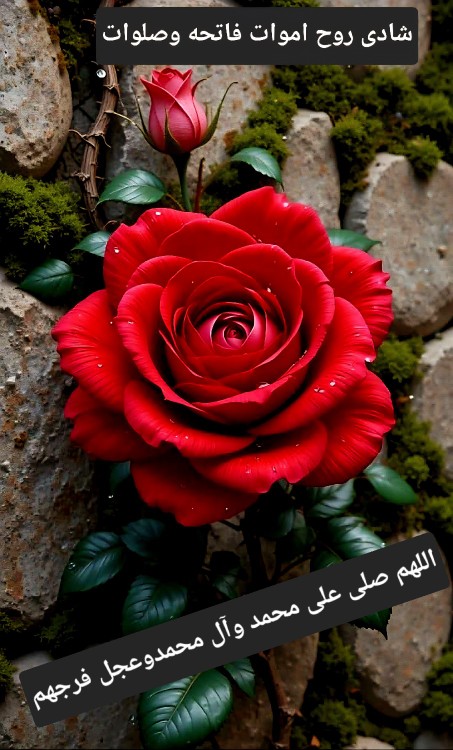 عصر🕯آخرین پنجشنبه مهر ماه است 
🍂به یاد عزیزانی که
🕯