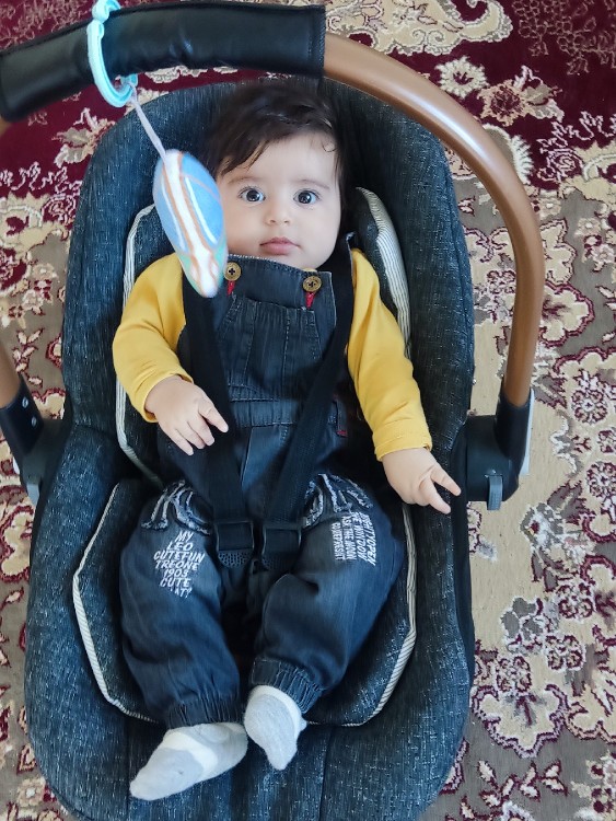 نفس 
