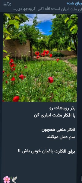 🌷🌷🌷