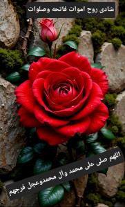 عصر🕯آخرین پنجشنبه مهر ماه است 
🍂به یاد عزیزانی که
🕯