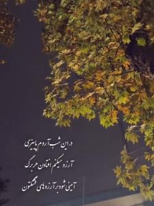 شب جمعه شب رحمت التماس دعا