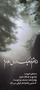 یادم هست😍😘❣️🫀💋♥️💙