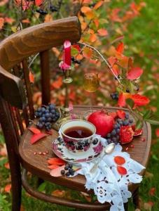 🌸ســـلام
صبح آخر هفته تون مملواز آرامش🍃