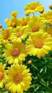عادت هایِ افرادِ شاد 