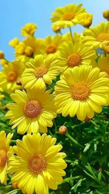 عادت هایِ افرادِ شاد 