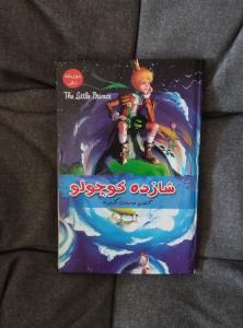 اگه هزار بارم شازده کوچولو رو بخونیم بازم کمه