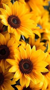 سلااام به روی ماهتون آدینتون بخیرو شادی 💛