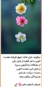 دوستان گلم شبتون ستاره بارون و پراز شکوفه های اجابت 🤲🌙✨️⭐️