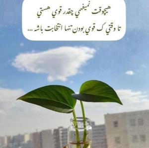 دقیقااا،👌