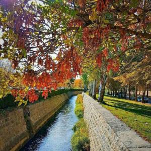 عصرتون بخیر🌹💐