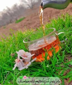 آدینه بخیر و خونه دلتون آباد☕️🍁