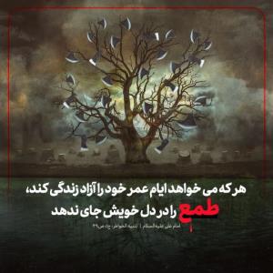 ✍امیرالمؤمنین امام علی علیه‌السلام:

