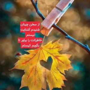 یاشار