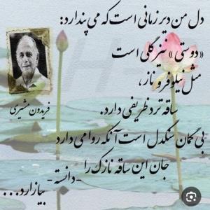 فریدون مشیری 