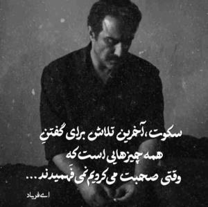 سکوت ،
آخرین تلاش برای گفتن
همه چیزهایی است که
وقتی صحبت می کردیم نمی فهمیدند ،،