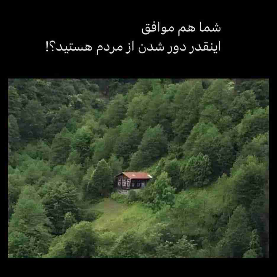 تنهایی