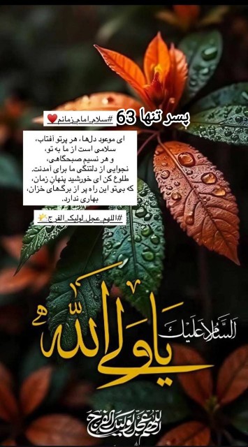 السلام علیک یا والی الله 