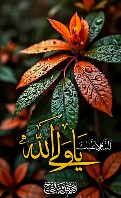 یارب العالمین🩵سلام خوبان صبحتون بخیر🩵بسم‌رب‌المهدی💚
     